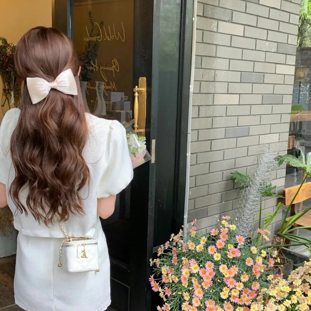 菊石